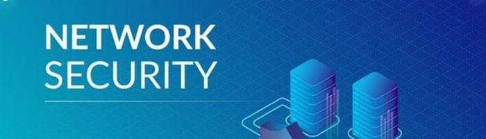 How Secure Network Services Can Safeguard Your Business Data